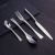 Kaya stainless steel western tableware, European style, simple gift box, knife, fork and spoon, four - piece set of hotel supplies, fishtail design