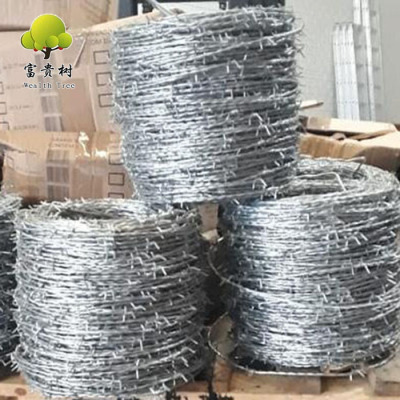 Manufacturer Wholesale 1.65mm Doule Wire Twisted Electro Galvanized Barbed Wire Cold Galvanized Meadow Iron Wire Fence