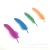 Spot Supply All Kinds of Packaging DIY Material Small Feather Goose Feather Turkey Feather Pheasant Feather Color Feather