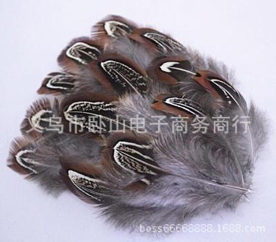 DIY Ornament Accessories Natural Precious Wild Male Pheasant Dachang Color Color Staining Plume