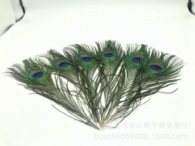 Factory Direct Sales 25-30cm Fine Selection 4cm Or More with Big Eye Peacock Hair (Childe Feather)
