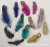 DIY Ornament Accessories Natural Precious Wild Male Pheasant Dachang Color Color Staining Plume