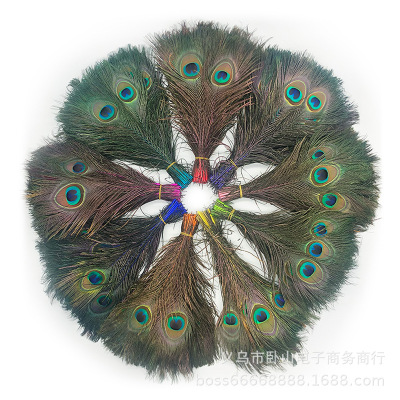Spot Supply Peacock Feather High Quality Dyed 25-30cm Peacock Feather
