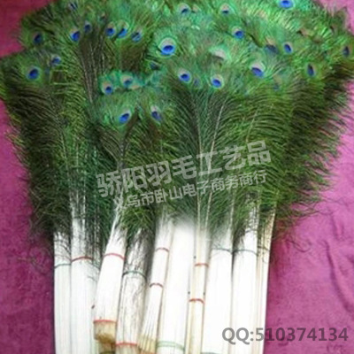 Factory Direct Sales Tianran 80-90cm Peacock Hair