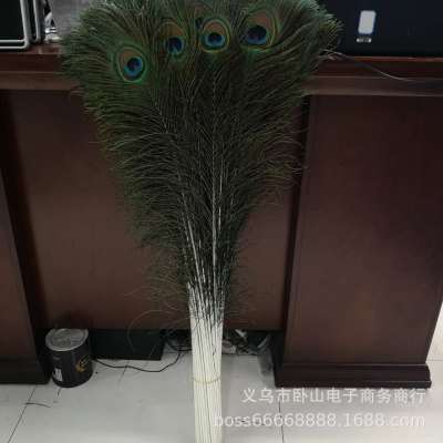 Spot Supply Peacock Feather 70-80 Peacock Feather Factory Direct Sales
