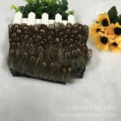 Jiaoyang Feather Spot Wholesale Pheasant Dachang Woven Belt Dia Accessories Stage Props Holiday Carnival Supplies