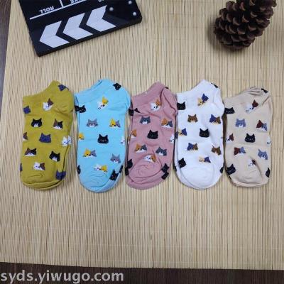 Beauty Spring and summer cotton socks Absorb socks manufacturers Wholesale European and American fashion Street Trend 91201