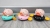 The wind-up chain swimming cute piggy children children bathing swimming Piggy flying pig toy stall selling hot