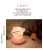 USB Rechargeable Rose Small Night Lamp the Third Gear Touch Romantic Table Lamp Led Silicone Ambience Light Valentine's Day Gift