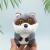 Big Eye Raccoon Stuffed Toy Pendant Keychain Schoolbag Pendant Clothing Accessories Claw Machine Doll Gift Wholesale