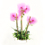 Phalaenopsis Artificial Flower Living Room Decoration Flowers TV Cabinet Artificial Flower Indoor Plastic Flower Dining Table Floriculture Potted Decoration