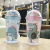A liyou summer web celebrity straw ice cup dinosaur water cup men's and women's plastic cups double cute student drinking cups