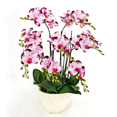 Phalaenopsis Potted Artificial Flower Bonsai Decoration Fake Flower Indoor Living Room Furnishings Orchid Plastic Flowers Decoration