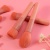 10 Pcs Pink fancy Makeup Brushes Professional Gift Set For Makeup Beauty with ostumized logo