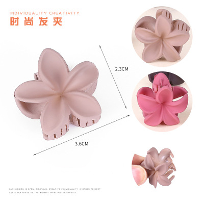 Japan and South Korea hot fashion plastic grip hair clip hair clip with pure color hair ponytail clip accessories wholesale color hair mix hair