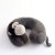 Animal U-Shape Pillow Neck Pillow