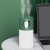 Amazon cross-border hot pet dual spray humidifier USB mini car purifier home office hydrator