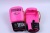 Professional boxing Muaythai boxing sandbag boxing training boxing gloves