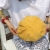 Lady's hat pure color octagonal hat simple short brim painter hat student youth spring autumn Beret Korean version trend