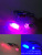 Rose head laser flash flashlight, infrared laser teaching lamp, three-in-one cash test lamp