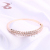 Grain Shape Rhinestones wei xiang Bilateral Oblique Arrangement Graceful Personality Bracelet Classic High Bracelet & Ring Set