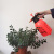 Household Gardening Watering Kettle Pneumatic Sprinkling Can 2l3l Small Pressure Spray Bottle Plant Watering Spray Kettle