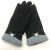 Factory direct new lady winter with velvet and thick warm waterproof gloves
