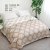 Milk Velvet Blanket Towel Quilt Summer Thin Single Dormitory Students Coral Fleece Air Conditioning Nap Blanket Sofa