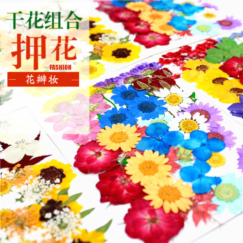 dried flowers embossing material package embossing diy combination package embossing mobile phone case photo sticker face makeup handmade material