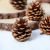 Natural pine nuts Christmas decorations dried flowers DIY DIY Christmas tree ornaments Window table decorations