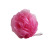 Factory Direct Sales Cute Color Loofah Bath Gadget Mesh Sponge Bath Brush 50G Customizable