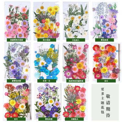 New Dried Flower DIY Embossing Photo Embossing Bookmark Embossing Bag Embossing Painting Material Real Flower Epoxy Dried Leaves