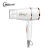 Simple Home Hair Dryer Constant Temperature Hot and Cold Jiebo Jie Bo Hair Dryer Mute Hair Salon Hair Dryer