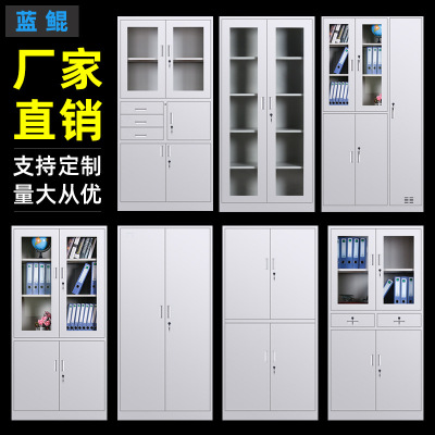 File cabinet Iron leather cabinet staff office data file cabinet financial document cabinet steel instrument cabinet manufacturer custom