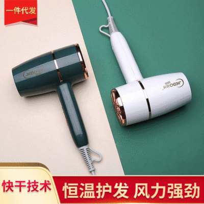 Simple Home Hair Dryer Constant Temperature Hot and Cold Jiebo Jie Bo Hair Dryer Mute Hair Salon Hair Dryer