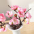 Emulational Decoration Plum Blossom Wholesale Tree Faux Plum Blossom Dried Flower Branch Plum Blossom Bonsai Home Living Room Ornament Floor Flower Plum Blossom