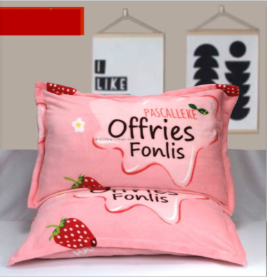Factory Direct Sales Winter Coral Fleece Flannel Pillowcase One-Pair Package Thick Warm Flange Fleece Plush Pillowcase