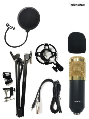 Cross-Border Direct Supply Live Only Microphone Bm800 Diaphragm Condenser Microphone USB Interface Can Be Connected with Sound Card Audio