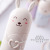 Cartoon Children's Toothbrush Case Baby Fashion Bunny Tooth Set Box Travel Toothbrush Case Toothbrush Storage Box