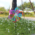 Double-Layer Sequined Peacock Windmill Six-Color Single-Layer Flash Laser Windmill Building Attractions Kindergarten Decoration