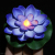 Lotus Floating Lamp Outdoor Pond River Wishing Lamp Factory Direct Sales