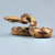 Foreign Trade Supply Simulation Boa Solid Wildlife Model Snake Children's Toys Collection Ornaments
