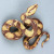 Foreign Trade Supply Simulation Boa Solid Wildlife Model Snake Children's Toys Collection Ornaments