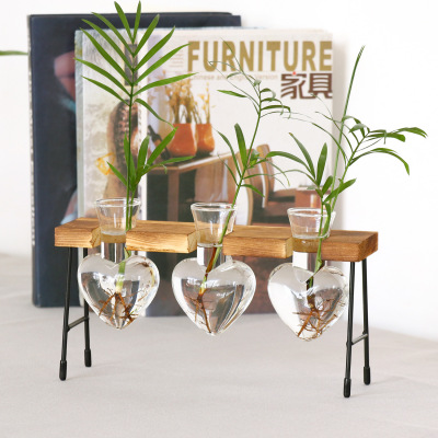 Vase Green Dill Plant Container Transparent Planting Device Fresh Office Desk Surface Panel Decorative Flower Vase