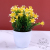 Fake/Artificial Flower Plastic Floral Ornament Living Room Bedroom Home Conference Hall Decoration Flowers and Plants Bonsai