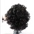 Women's Short Curly Hair Partial Wig Small Curly Head Chemical Fiber Hair Women's Small Curly Hair Currently Available