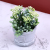 Small Emulational Pot Plant Nordic Style Fake Flower Plants Ornaments Dining Table Floral Set Ornamental Flower Bonsai Display