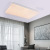 LED Ceiling Lamp Simple Modern Lamp in the Living Room Graceful Household Bedroom Nordic Lighting Fixtures Intelligent