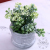 Small Emulational Pot Plant Nordic Style Fake Flower Plants Ornaments Dining Table Floral Set Ornamental Flower Bonsai Display