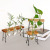 Vase Green Dill Plant Container Transparent Planting Device Fresh Office Desk Surface Panel Decorative Flower Vase